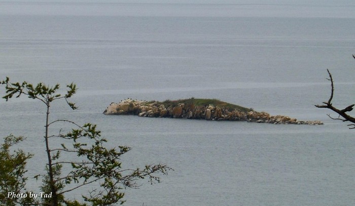“Cá sấu đá” nổi giữa mặt hồ Baikal.
